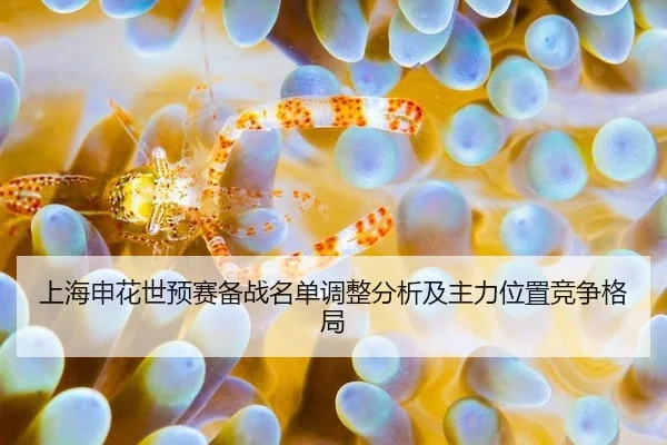 上海申花世预赛备战名单调整分析及主力位置竞争格局